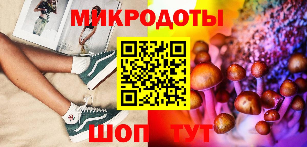 Псилоцибиновые грибы Cubensis Казань