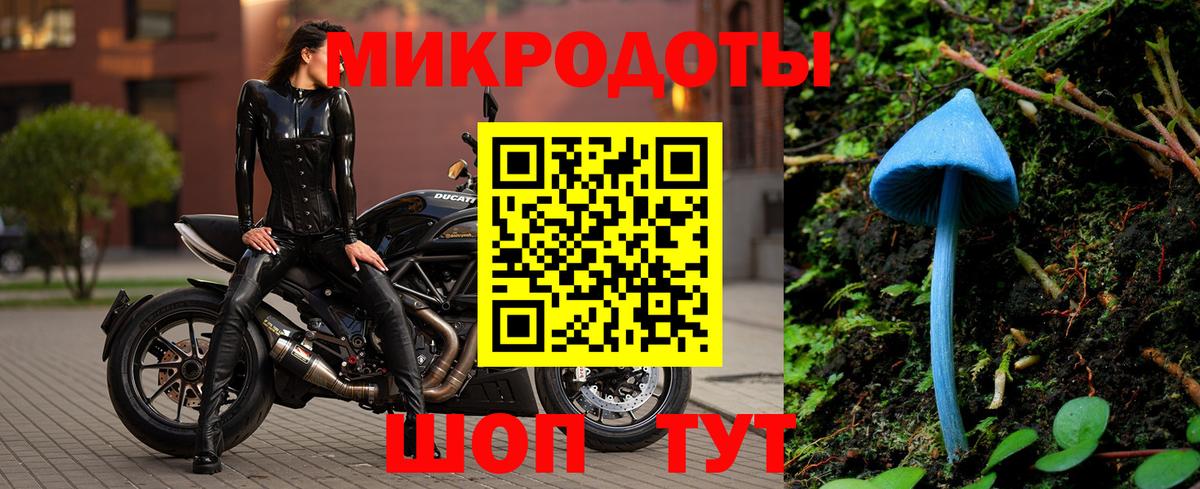 Казань  Псилоцибиновые грибы ЛСД  Вход с VPN  Псилоцибиновые грибы Cubensis 